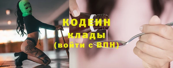 дурь Арсеньев