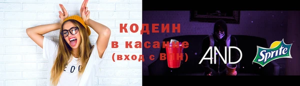 дурь Арсеньев