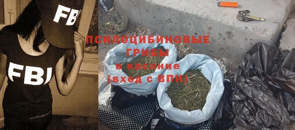 ПСИЛОЦИБИНОВЫЕ ГРИБЫ Аркадак