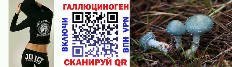 наркота  Малгобек  Псилоцибиновые грибы мухоморы 
