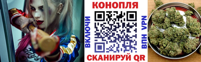 Шишки марихуана планчик Малгобек